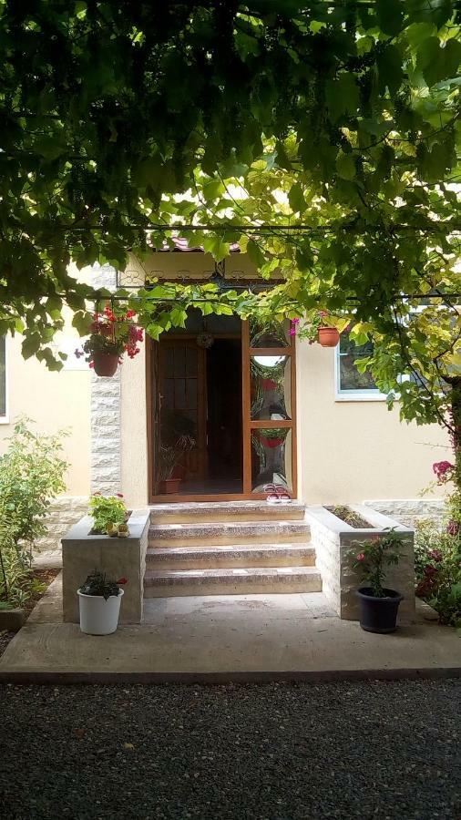 Vila Andre 2 Mai Exterior photo